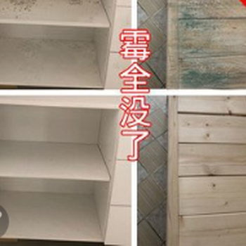 广州越秀东山口除霉公司，清除发霉电话，处理天花发霉