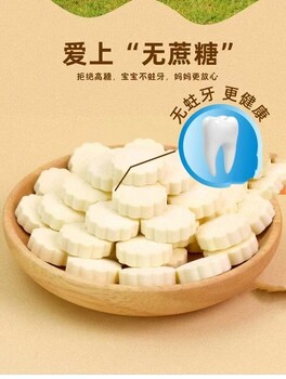 无蔗糖新疆驼奶片益生菌含钙奶片生产