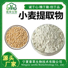 小麦提取物小麦速溶粉小麦浸膏粉浓缩液小麦粉120目