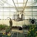 温室大棚花卉苗圃蔬菜育苗自动移动喷灌机