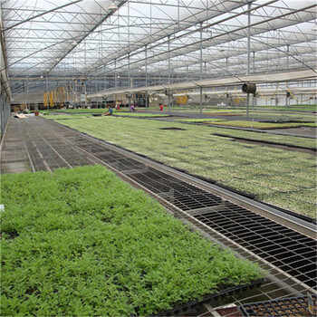 温室花卉育苗药材种植可移动苗床加工定制观赏花网片