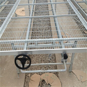 北京温室种植热镀锌育苗床大棚可移动固定苗床网量尺定制
