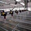 陕西汉中温室大棚移动洒水车自动喷灌机转轨式打药机生产定制