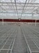 江西温室大棚种植育苗移动苗床潮汐苗床地面硬化处理方案