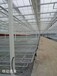 浙江新式玻璃温室大棚种植育苗移动苗床热镀锌苗床