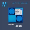 邁博瑞玻璃纖維膜