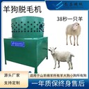 羊狗脫毛機大型圓筒羊狗褪毛機山羊綿羊拔毛機38秒一只羊