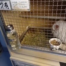 宠物笼子网片兔笼狗笼不锈钢网按尺寸裁剪室外可用20年