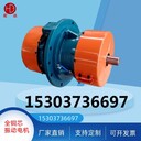 振動(dòng)篩激振器側(cè)板振動(dòng)電機(jī)YZUC-50-63.7KW