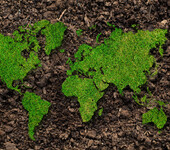 肥料检测土壤检测优化施肥方案