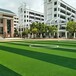 广东人造草坪铺设，佛山足球场施工，广东足球场施工。