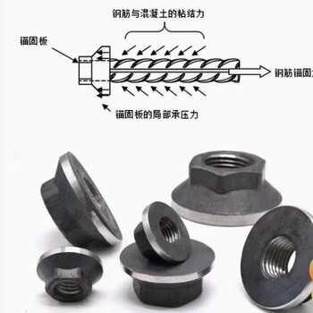 钢筋锚固板、锚固螺母、带垫螺母、紧固件