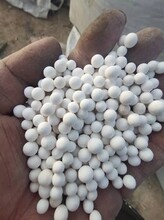 新疆回收氧化鋁球的價格圖片