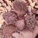 山东滨州供应火山岩滤料规格3-5cm多孔亲水性好煜岩环保
