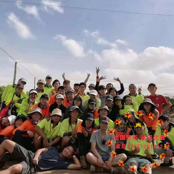 枣庄出国劳务新西兰工程车挖掘机司机包吃住远境协派推送
