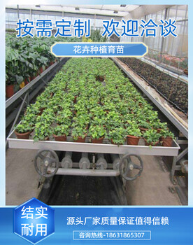 育苗温室种植床潮汐灌溉苗床可移动操作稳定