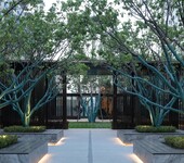 北京绿化公司，承接绿化工程，别墅庭院绿化养护