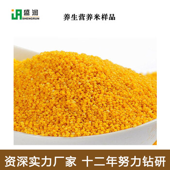 双螺杆膨化大米机械营养米加工机械黄金米生产设备