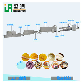 双螺杆膨化机大米机器深加工设备