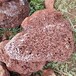 内蒙古包头火山岩厂家多肉营养土红色火山石卓栩环保