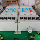 BXMD-4/25K100XX防爆照明配電箱遼飛防爆