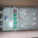 控制電機防爆配電箱遼飛防爆