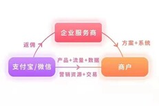 支付宝智慧数字经营，政策扶持，顺势而为图片2