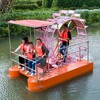 网红脚踏船夏季水上游乐设施无动力脚踏船亲子游乐互动性强
