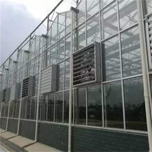 智能玻璃温室连栋阳光板大棚昌越温室
