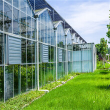 玻璃温室连栋阳光板大棚全自动安装花卉展览昌越温室