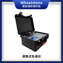 WH621XA便携式气相色谱仪,在线气相色谱分析仪-江苏惠斯通机电