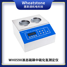 硫化氢测定仪,WH059X液态硫磺中硫化氢测定仪-江苏惠斯通机电