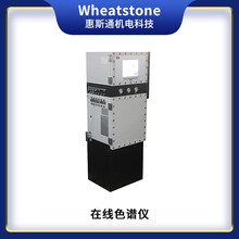 过程气相色谱仪WH609X,国产在线色谱仪-江苏惠斯通机电