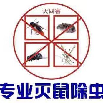 上海璋鑫提供抓老鼠除四害除虫除蚁灭跳蚤灭蚂蚁服务
