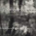 刺丝网湖州旅游基地2.8毫米热镀锌刺绳网园林防护刺篱网