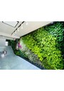 室内外垂直绿化，仿真植物墙、水陆，植物雨林景观