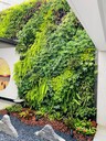 仿真植物微景綠化景觀花藝
