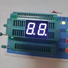 0.5英寸2位数码管共阴高亮白光数码管双排10脚数码管