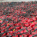 上海4kg手提式干粉滅火器充裝換粉維修上安加氣灌粉年檢
