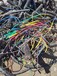 蘇州光伏電纜回收（25電纜回收）公司/電話