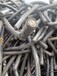 梧州電纜回收120鋁導線回收(常年）