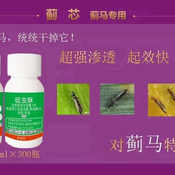 抗性薊馬對(duì)黑薊馬黃薊馬花薊馬蔥薊馬頭薊馬等抗性薊馬