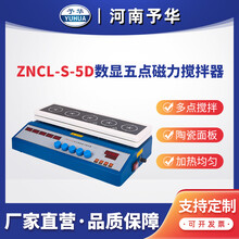 ZNCL-S智能磁力多点搅拌器