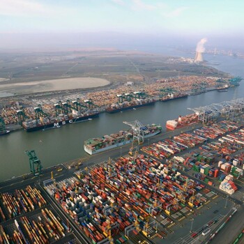 尼泊尔黄精进口上海港