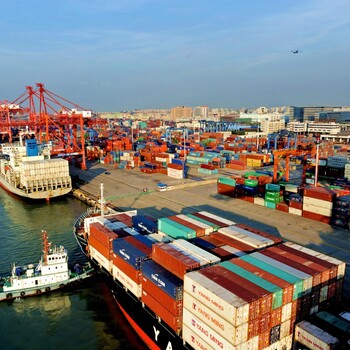 尼泊尔黄精进口上海港