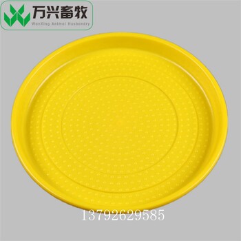 雛雞加食盤(pán)小雞飼料盤(pán)規(guī)格鴨用喂料盤(pán)