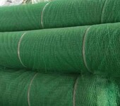 广西三维植被网绿化资材挂网喷播植草承接绿化工程