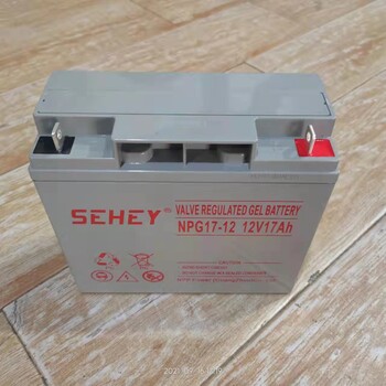 广州SEHEY电池代理UPS电源直流屏12V17AH销售价