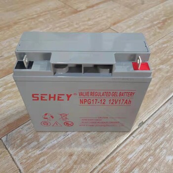 廣州SEHEY電池代理UPS電源直流屏12V17AH銷售價(jià)