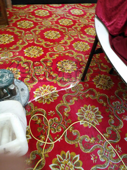 花都区清洗地毯公司办公室酒店地毯清洗消毒公司